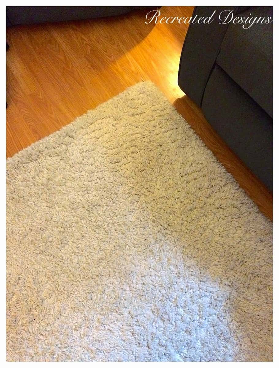 a white shag area rug