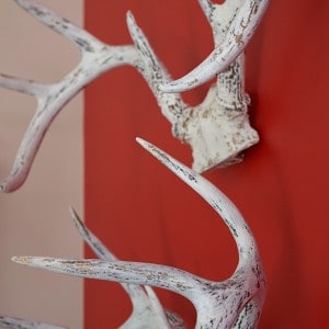 painted antlers