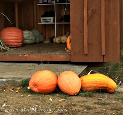 Pumpkins and squash at a roadside stand in Ontario