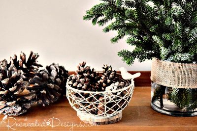 pine cones and greenery ready for the holidays 