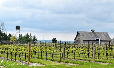 winery near Niagara-on-the-Lake in Spring