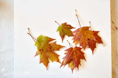 leaves pressed in wax