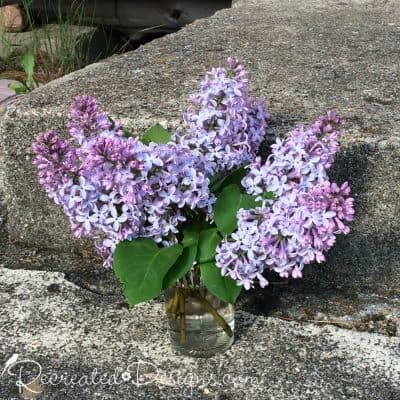 lilacs on a stone step