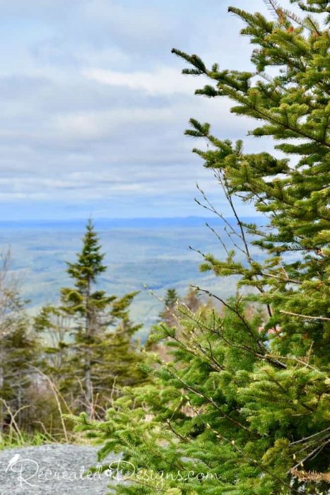 view from top of Mont Tremblant