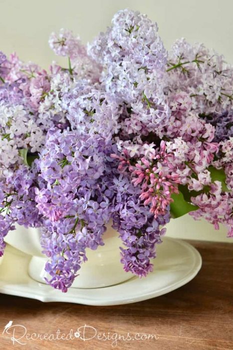 Ironstone tureen and lilacs