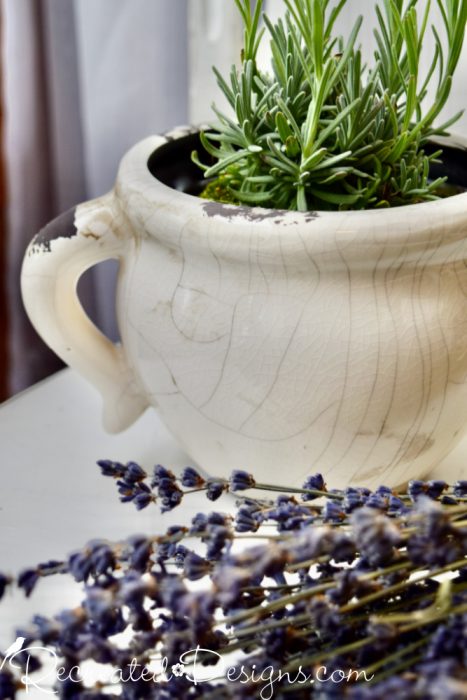 White crackly pot with Lavender
