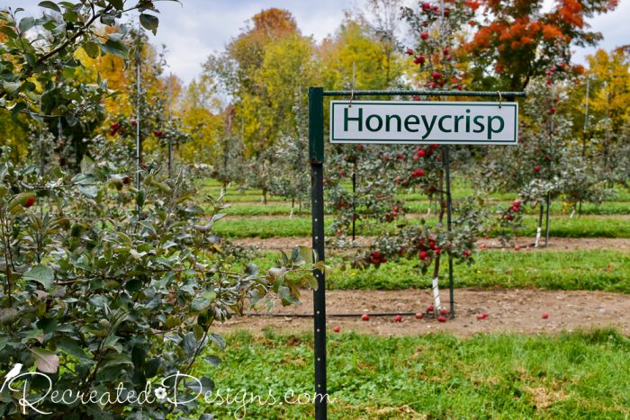 Honeycrisp apple sign