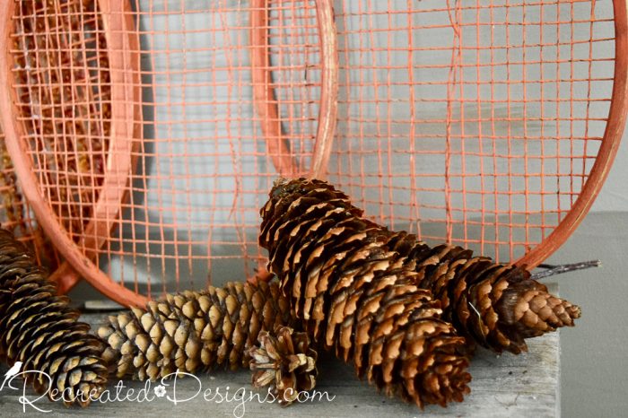 pinecones on a shelf