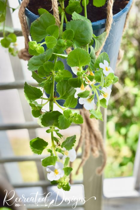 hanging flowers on an upcycled crib side