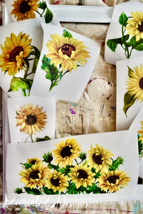 arranging sunflower transfers