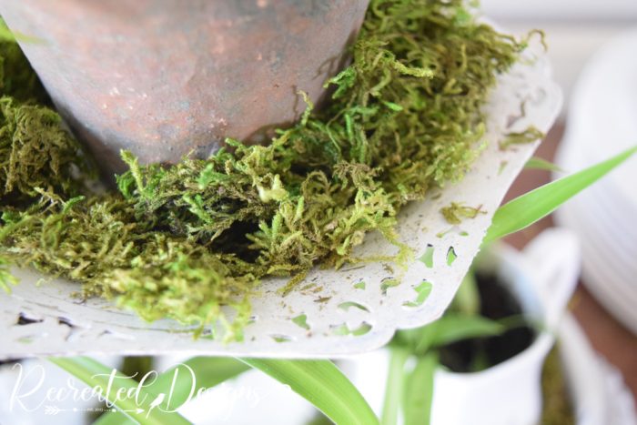 moss on a painted silver plate tray